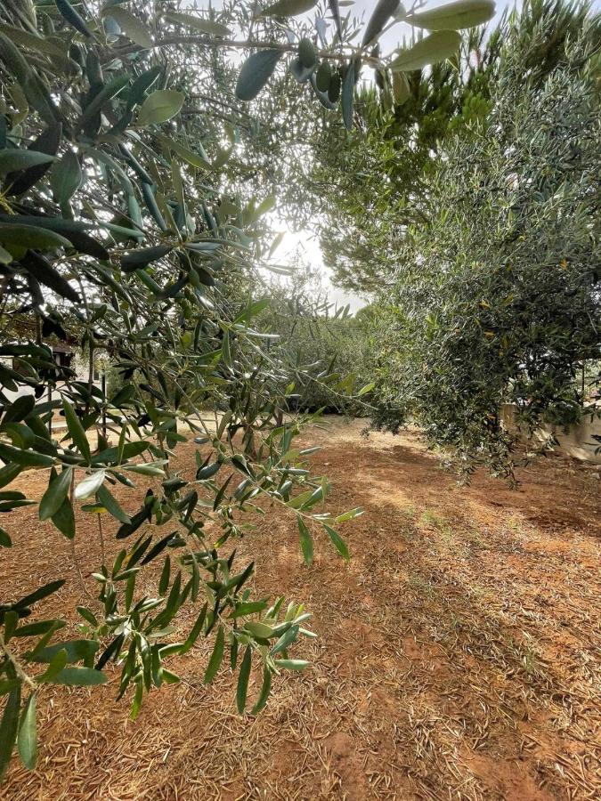 Il Moro - Casa Vacanze Terrasini Eksteriør bilde