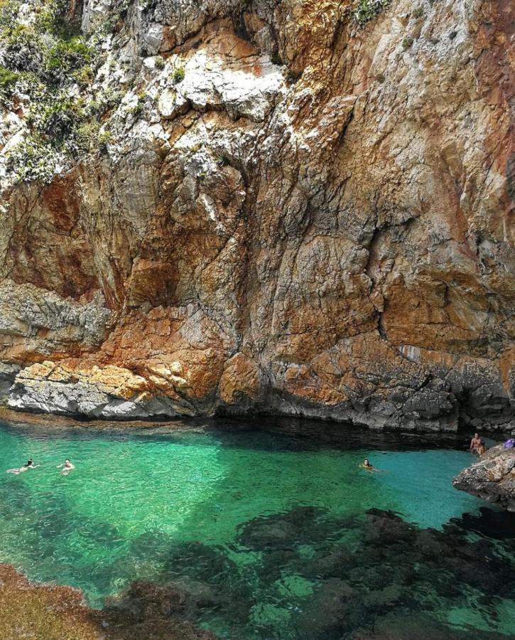 Il Moro - Casa Vacanze Terrasini Eksteriør bilde