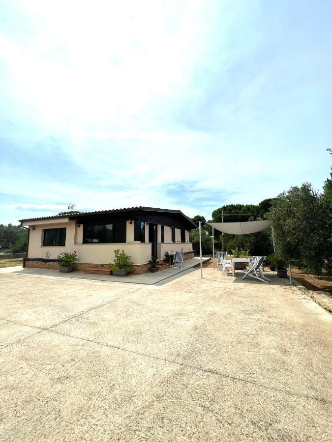 Il Moro - Casa Vacanze Terrasini Eksteriør bilde